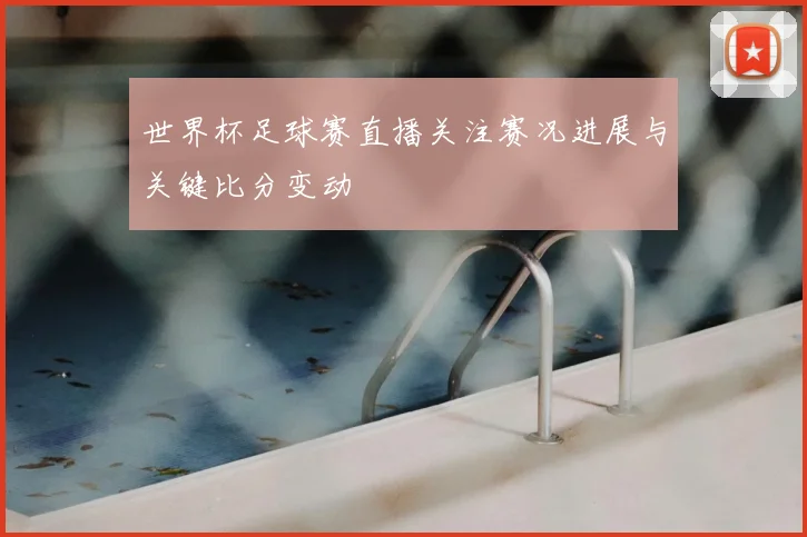 世界杯足球赛直播关注赛况进展与关键比分变动