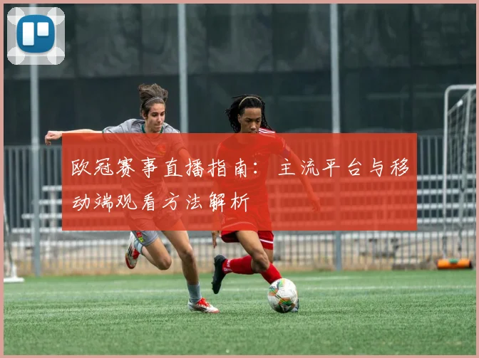 欧冠赛事直播指南：主流平台与移动端观看方法解析